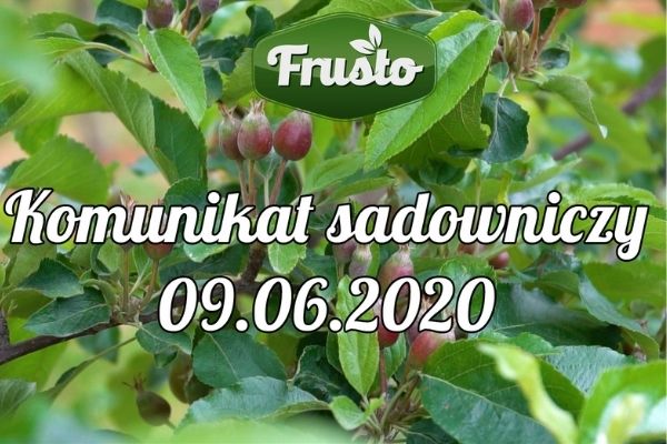 Komunikat sadowniczy 9.06.2020/ ochrona przed szkodnikami